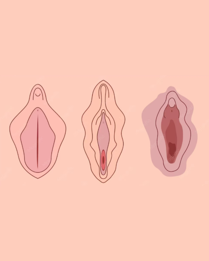 Does Sex 'Loosen' You? The Myth Anatomy Quietly Debunks