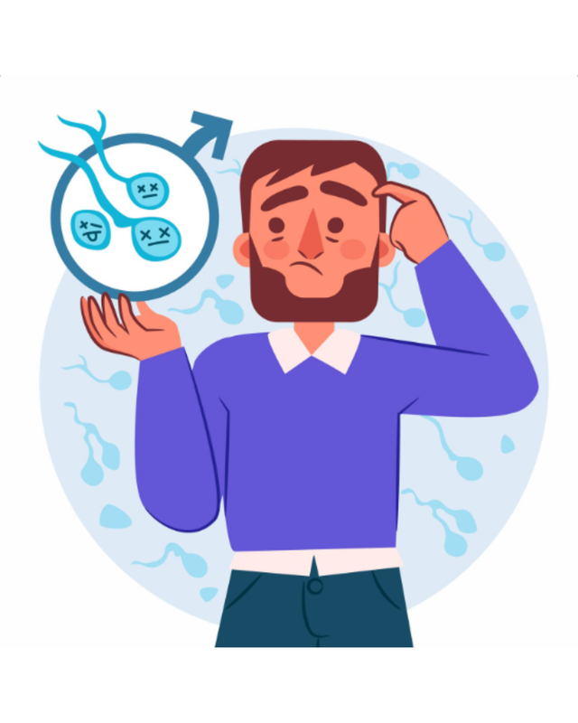 Is Sperm Count Really Crashing? The Study Everyone Misreads